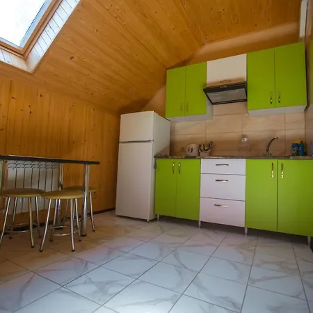 Apartment In Polyana (Transcarpathia)