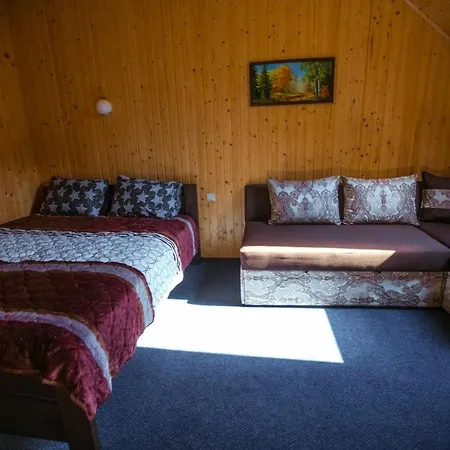 In Apartment Polyana (Transcarpathia)